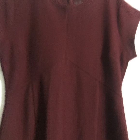 COPY - Banana Republic Women’s Burgundy Petite Dress - Picture 2 of 5